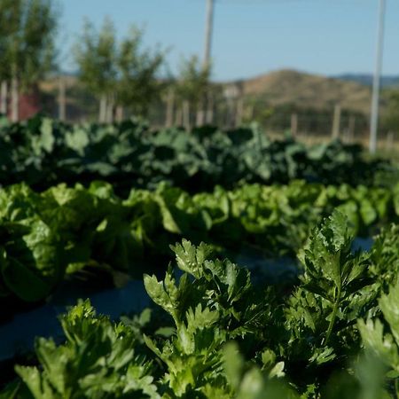Agriturismo Fiorella Camigliatello Silano Dış mekan fotoğraf