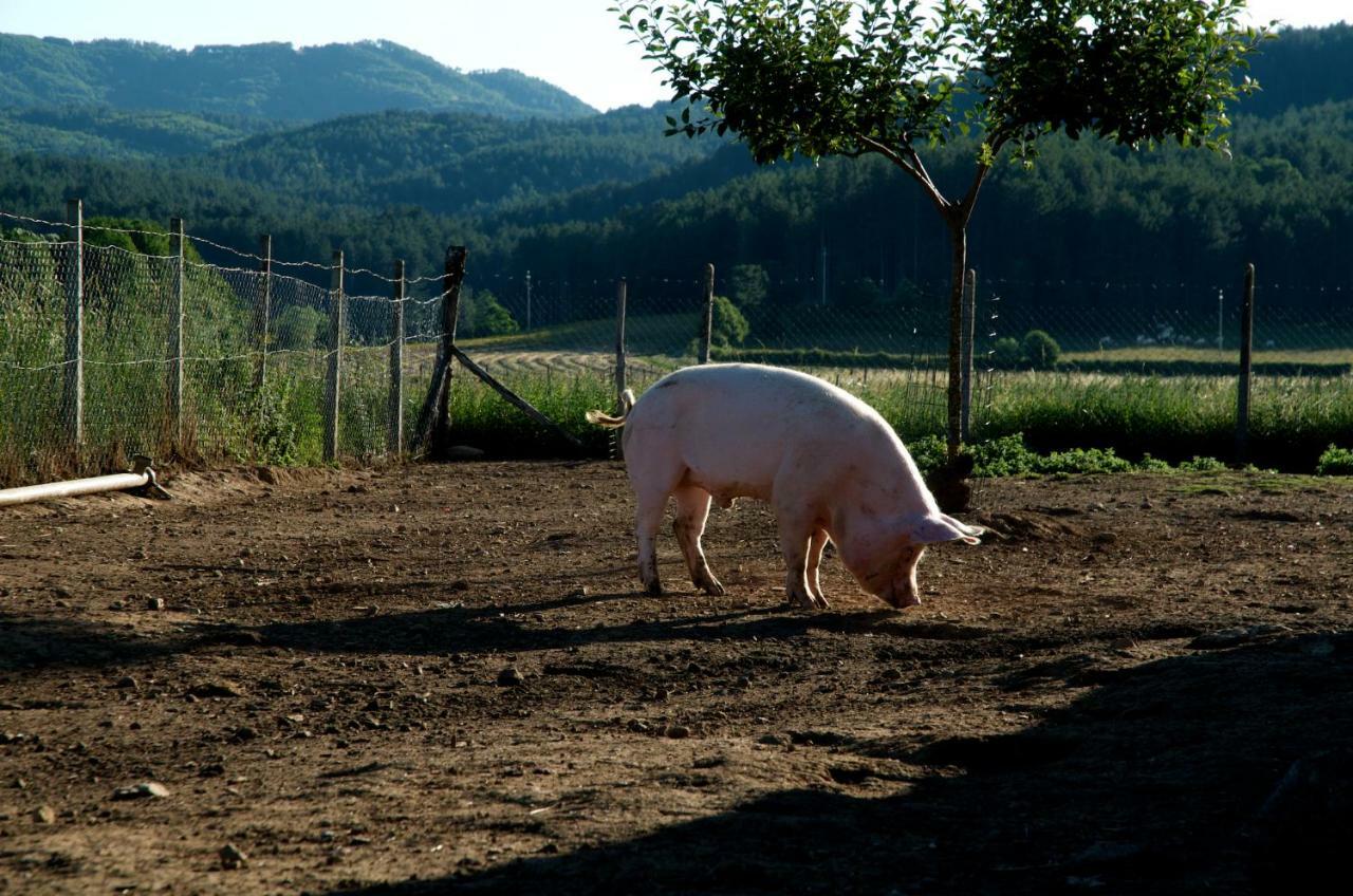 Agriturismo Fiorella Camigliatello Silano Dış mekan fotoğraf