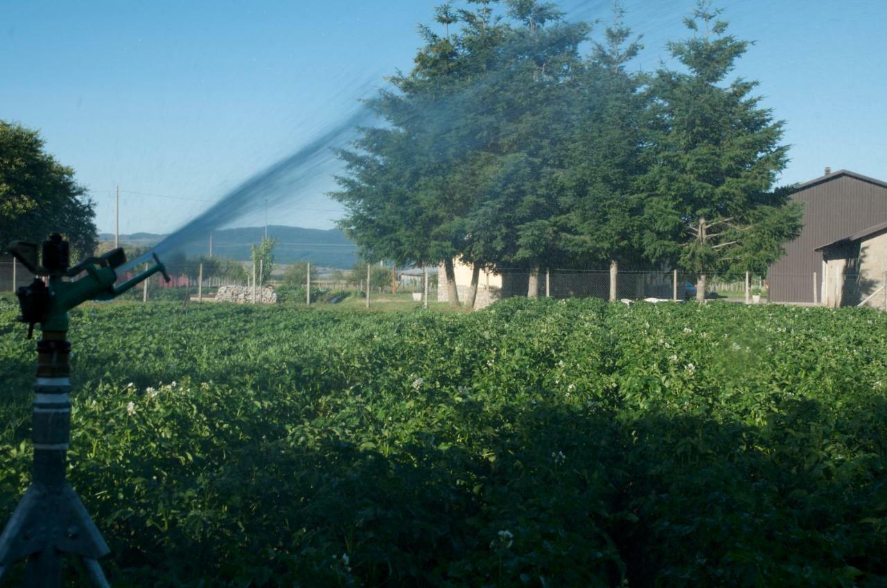 Agriturismo Fiorella Camigliatello Silano Dış mekan fotoğraf