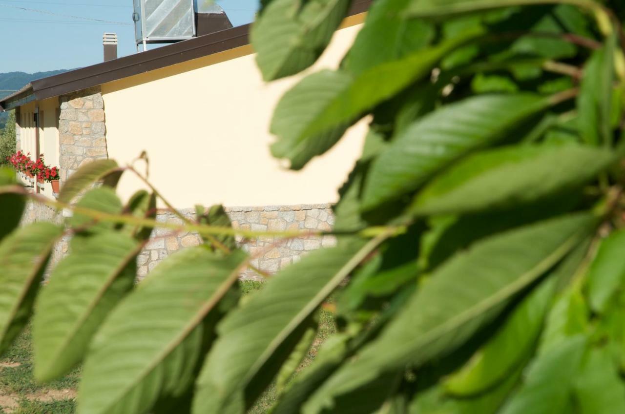Agriturismo Fiorella Camigliatello Silano Dış mekan fotoğraf