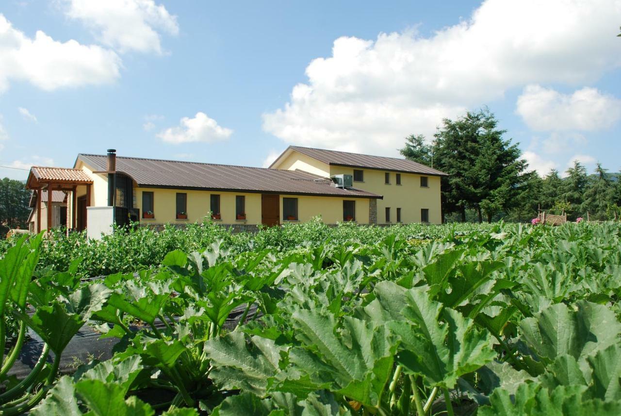 Agriturismo Fiorella Camigliatello Silano Dış mekan fotoğraf