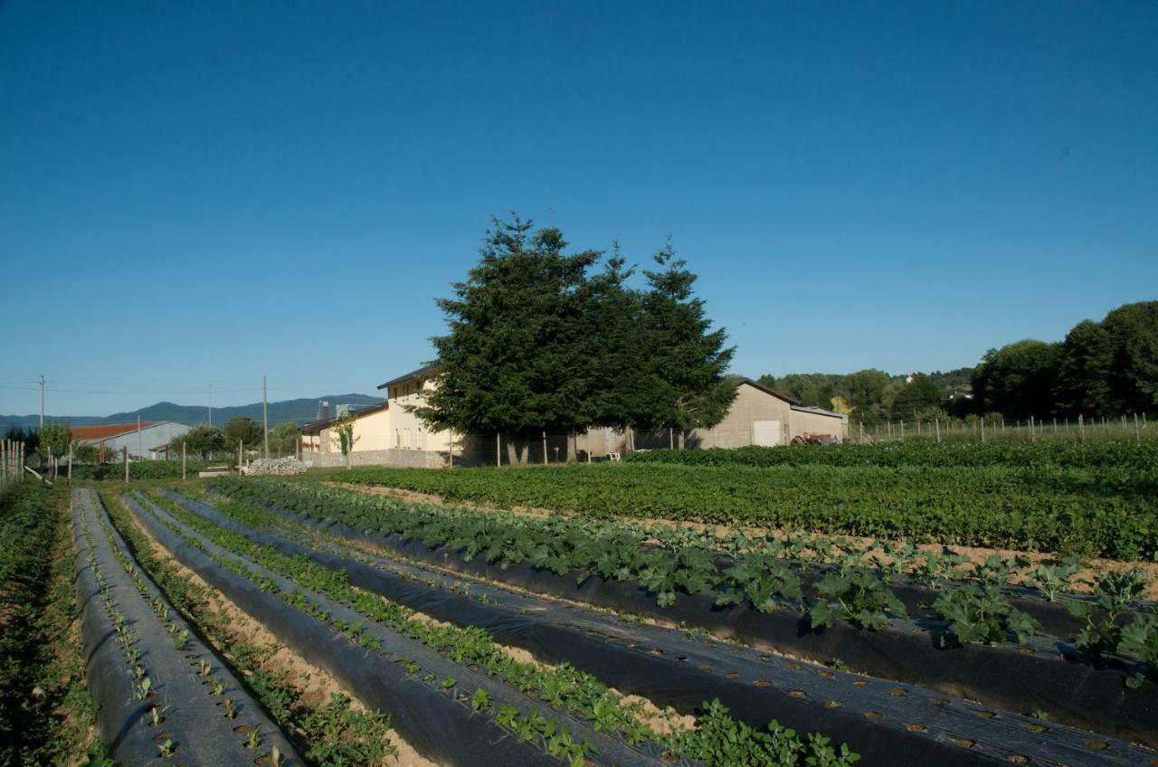 Agriturismo Fiorella Camigliatello Silano Dış mekan fotoğraf