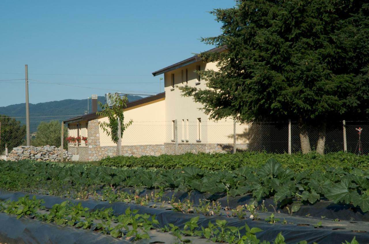 Agriturismo Fiorella Camigliatello Silano Dış mekan fotoğraf