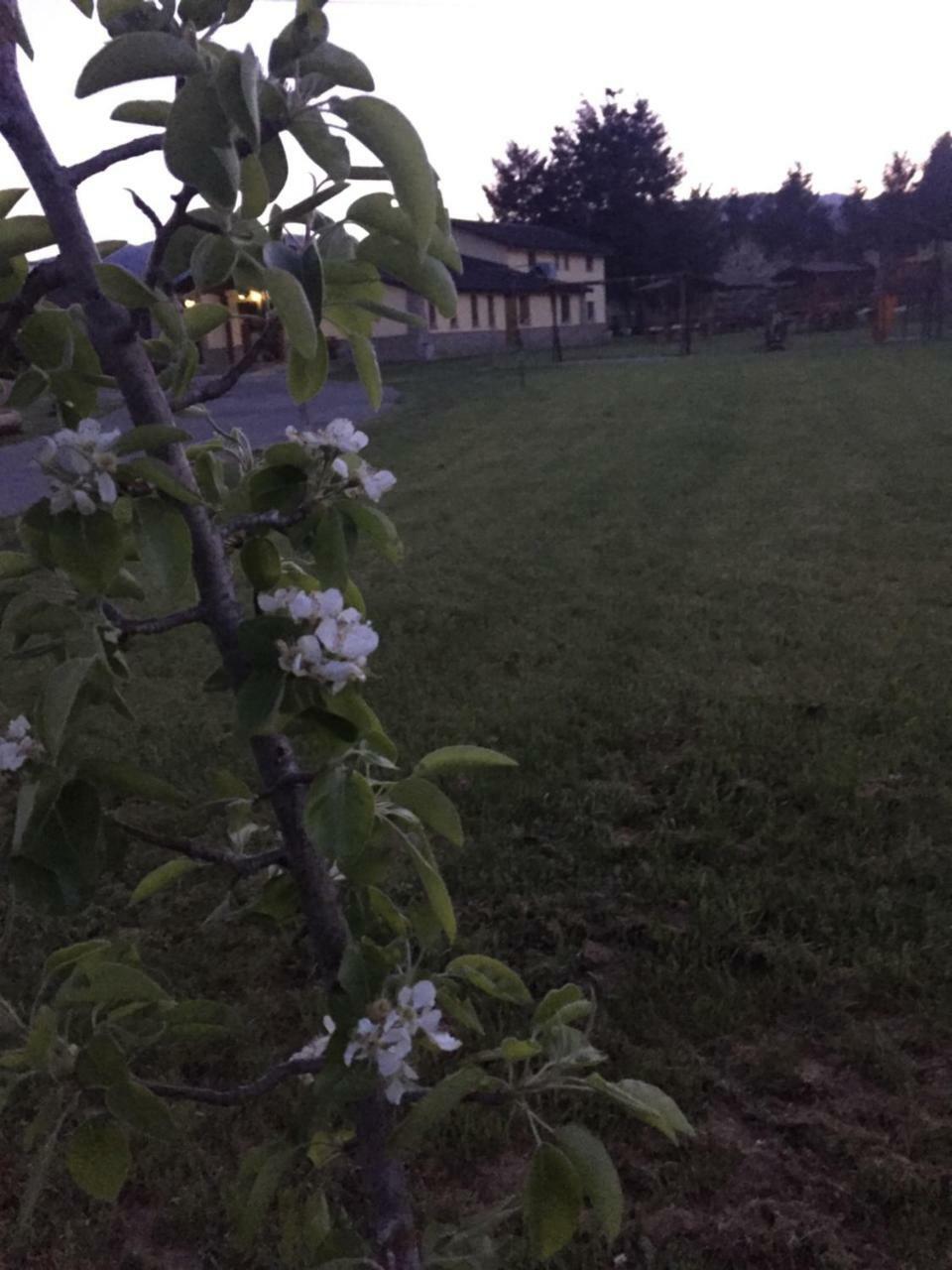 Agriturismo Fiorella Camigliatello Silano Dış mekan fotoğraf