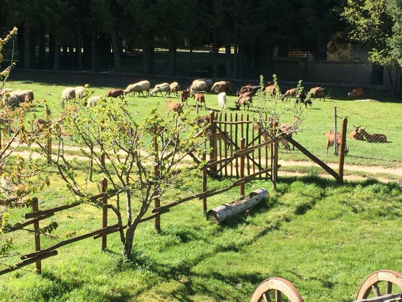 Agriturismo Fiorella Camigliatello Silano Dış mekan fotoğraf