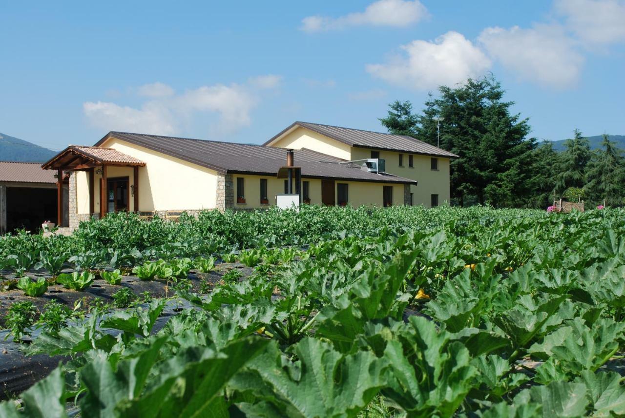 Agriturismo Fiorella Camigliatello Silano Dış mekan fotoğraf